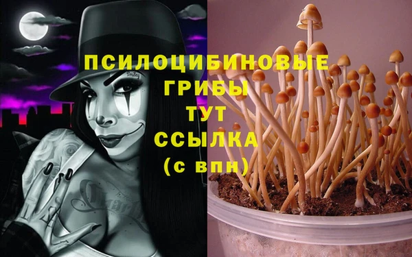 ешки Балахна