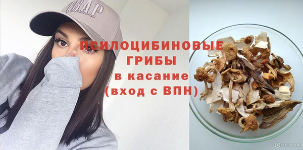 ешки Балахна